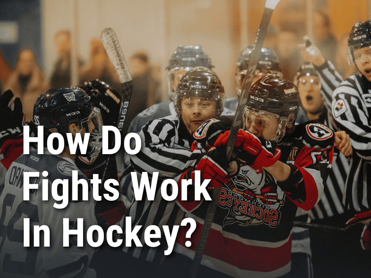 How Do Fights Work In Hockey?