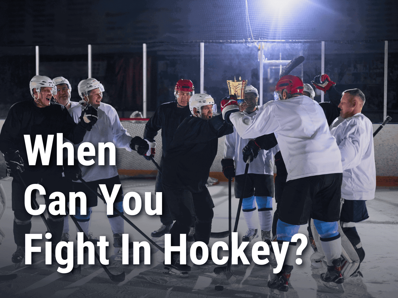 When Can You Fight In Hockey - Players Fighting Post Game