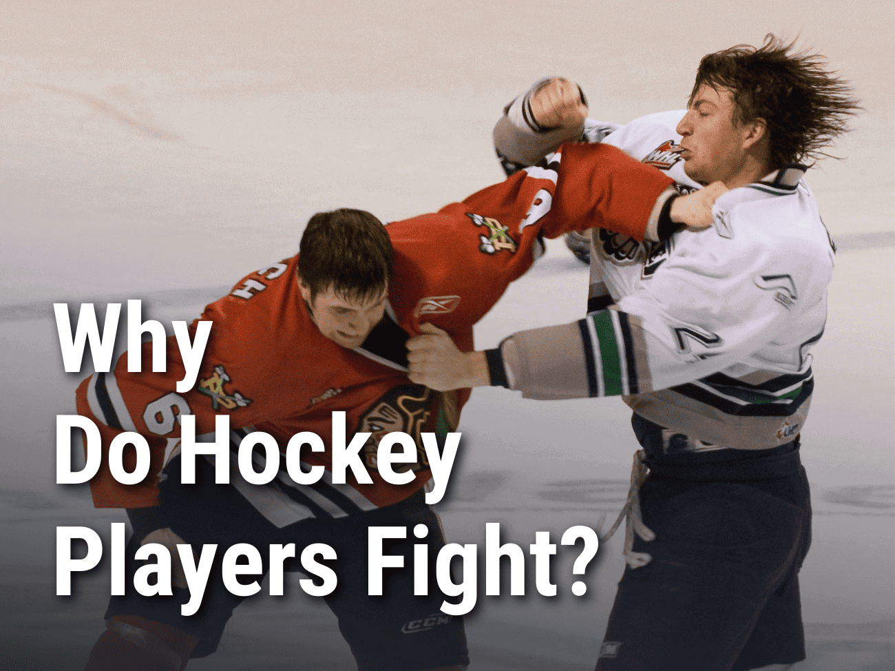 Why Do Hockey Players Fight - Players Fighting