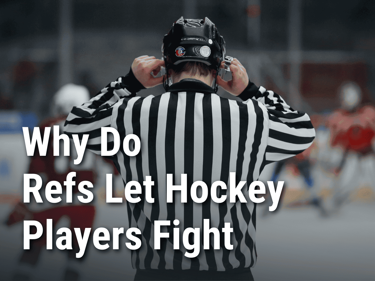 Why Do Refs Let Hockey Players Fight?