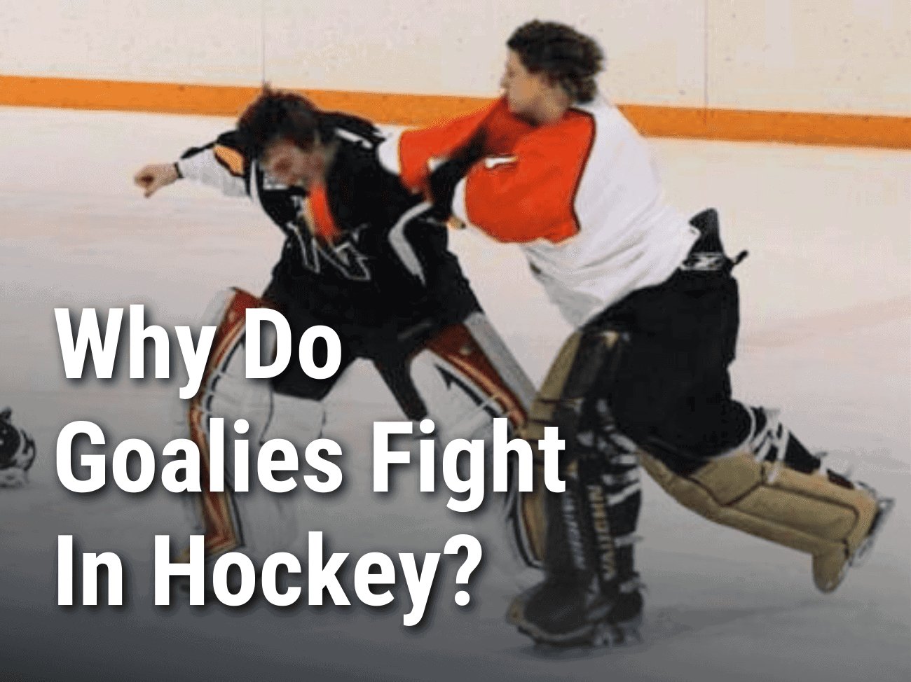 Why Do Goalies Fight In Hockey?